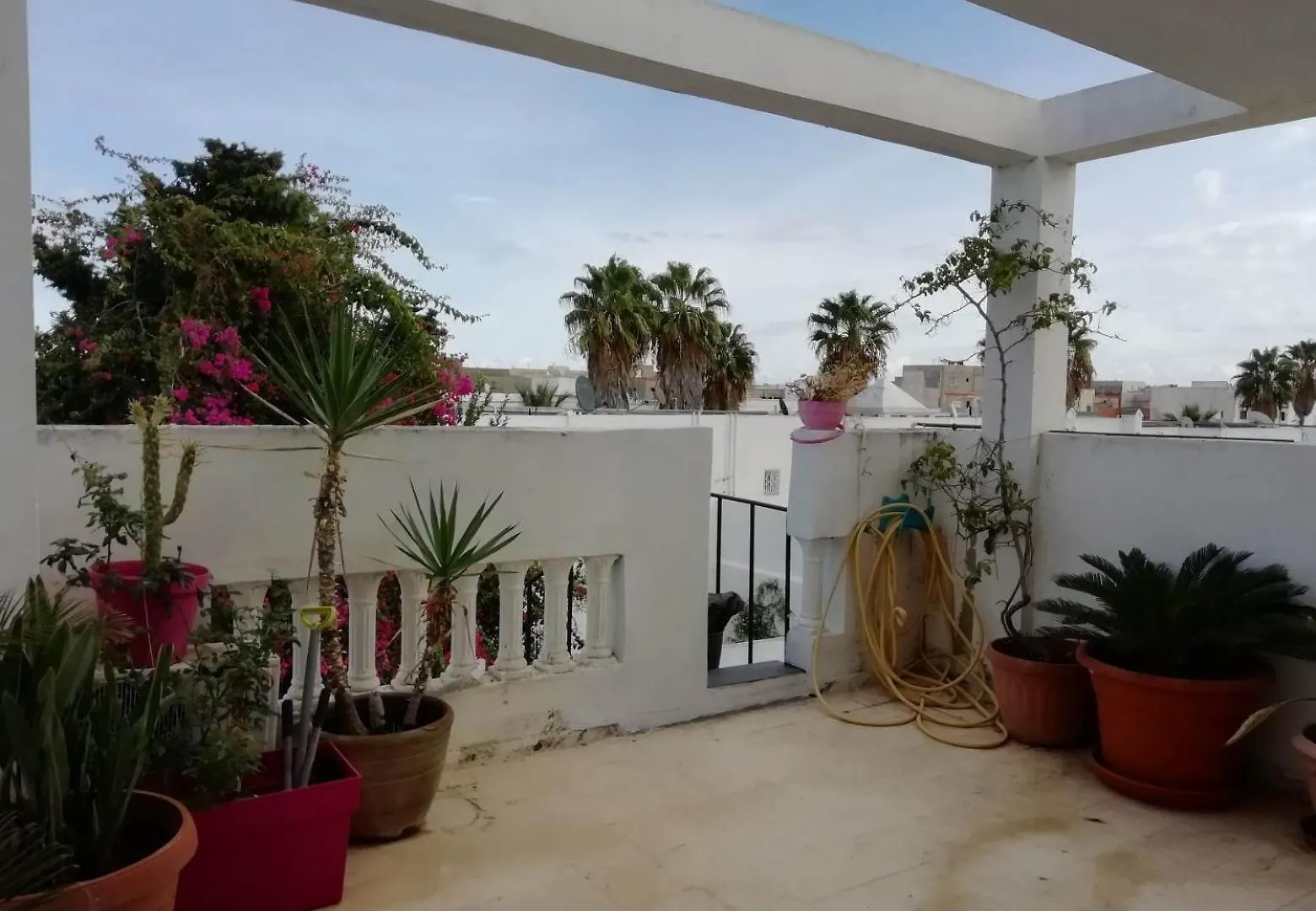 Studio Coquet Chez Lou - Marsa Tunis 0*,