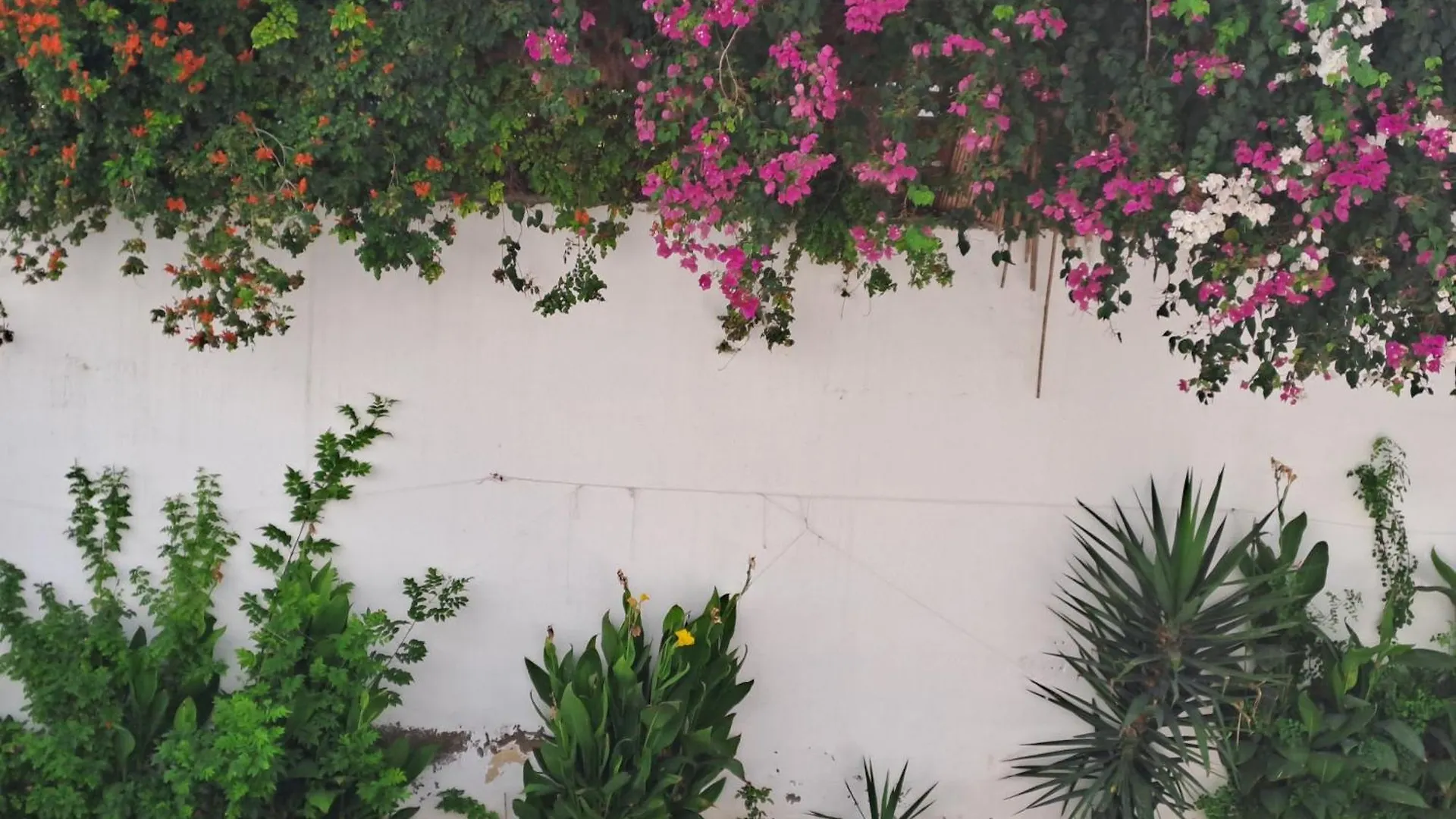 Studio Coquet Chez Lou - Marsa Tunis