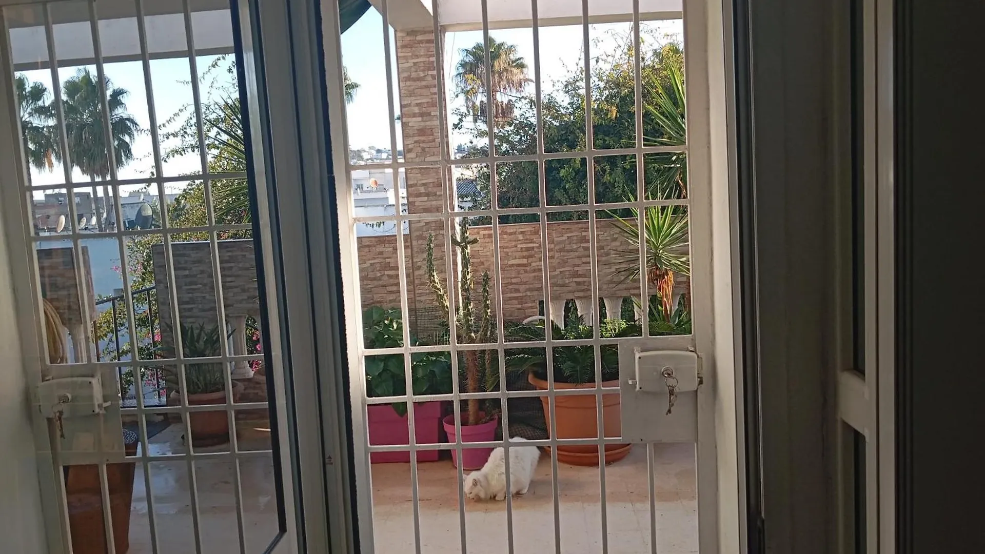 Studio Coquet Chez Lou - Marsa Tunis Tunisia