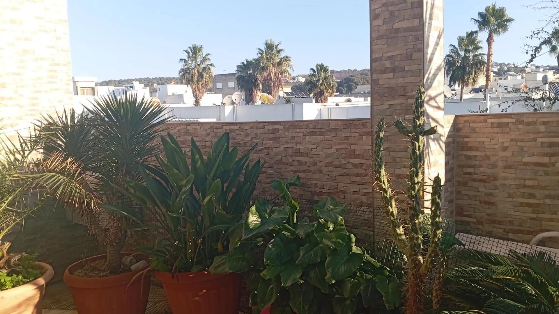 Studio Coquet Chez Lou - Marsa Tunis 0*,  Tunisko